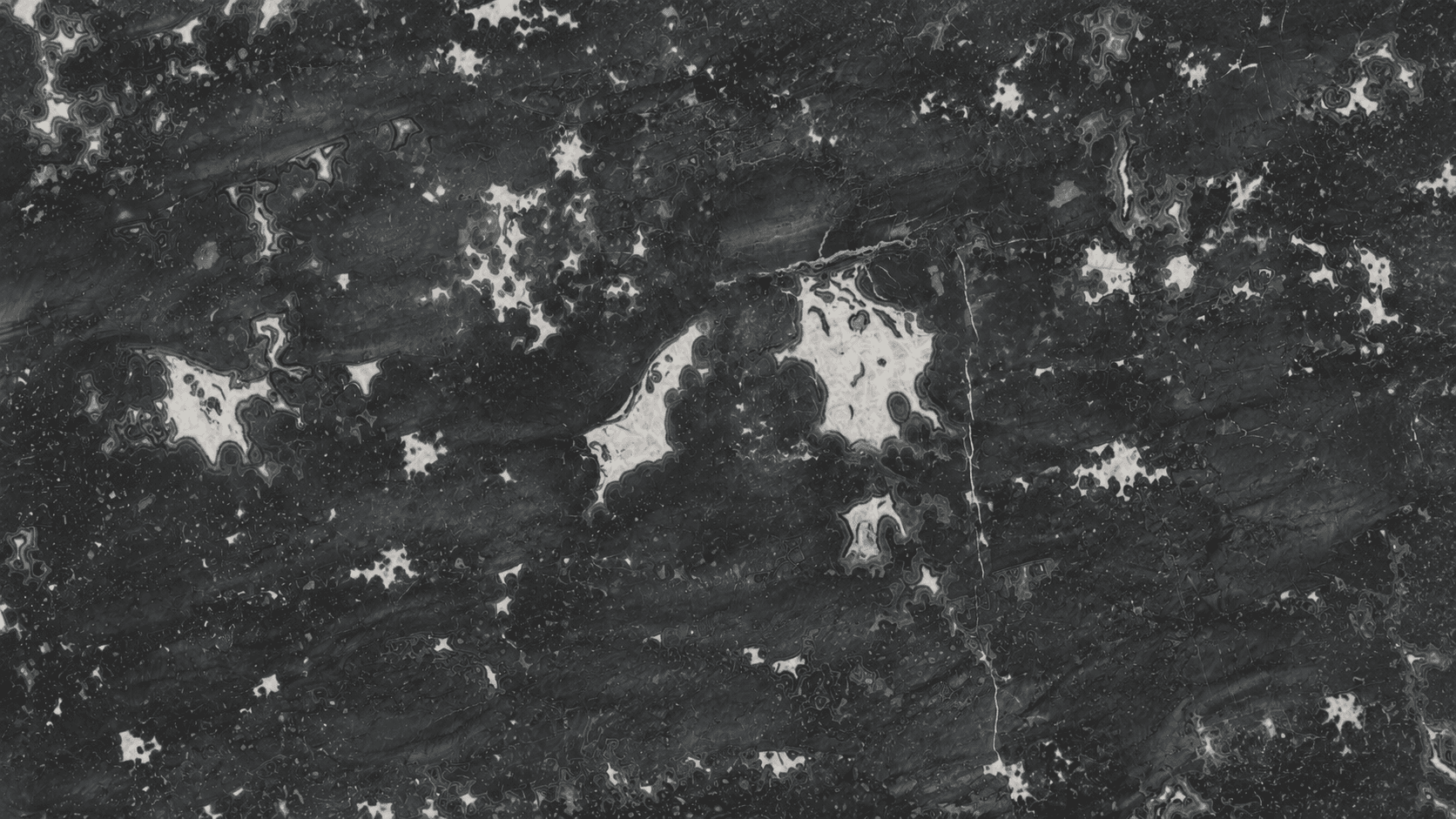 Chinese King Grey Color Marble Slabs thumbnail 2