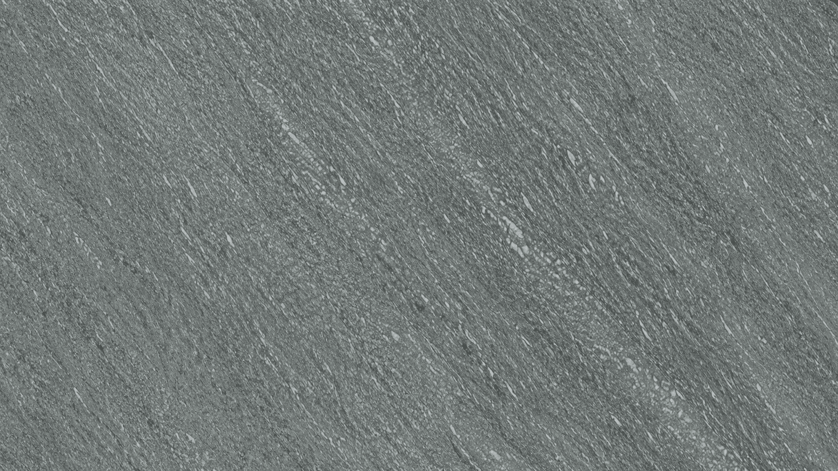 Grey Color Vargas Marble Slabs thumbnail 2