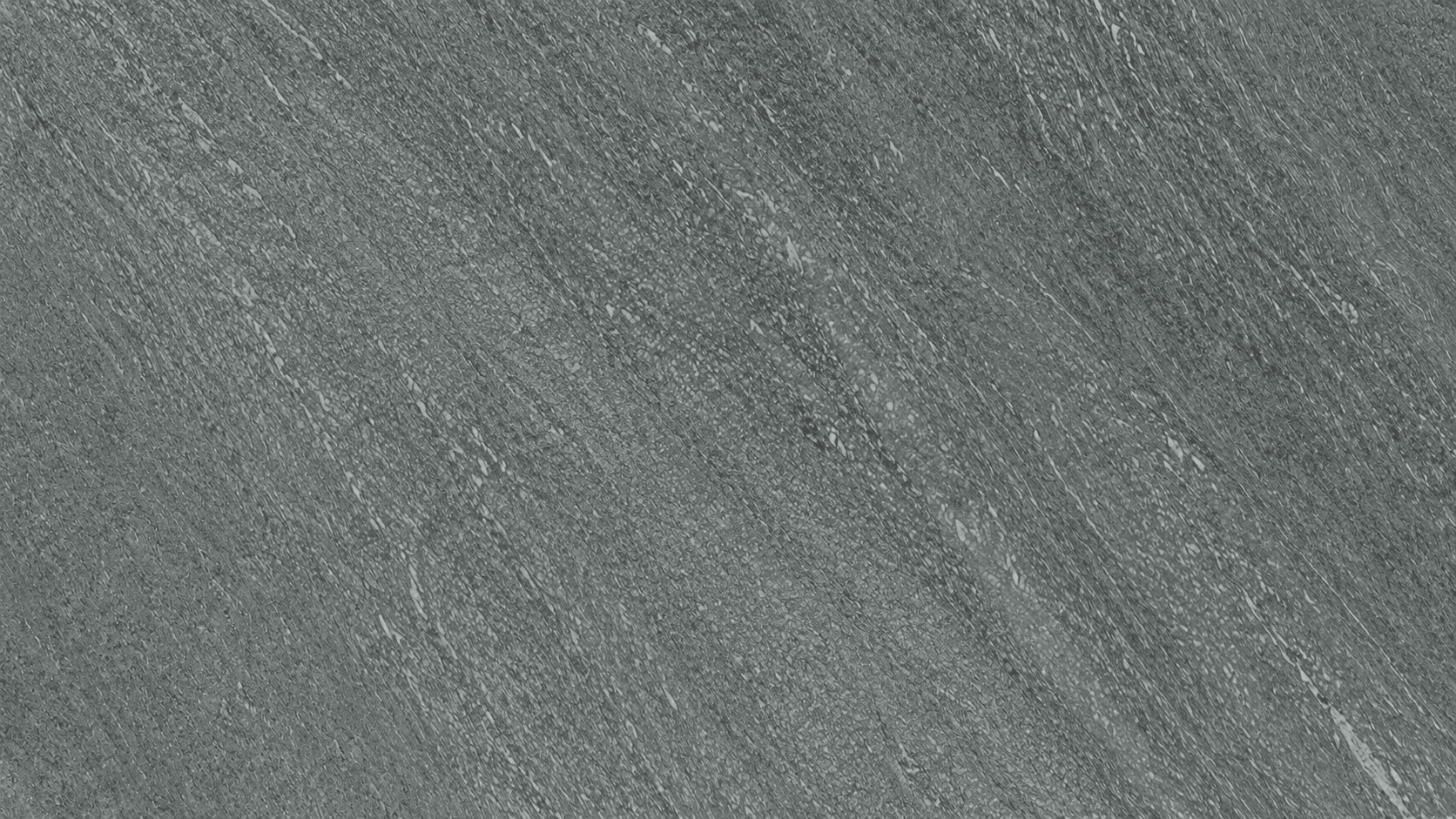 Grey Color Vargas Marble Slabs thumbnail 4