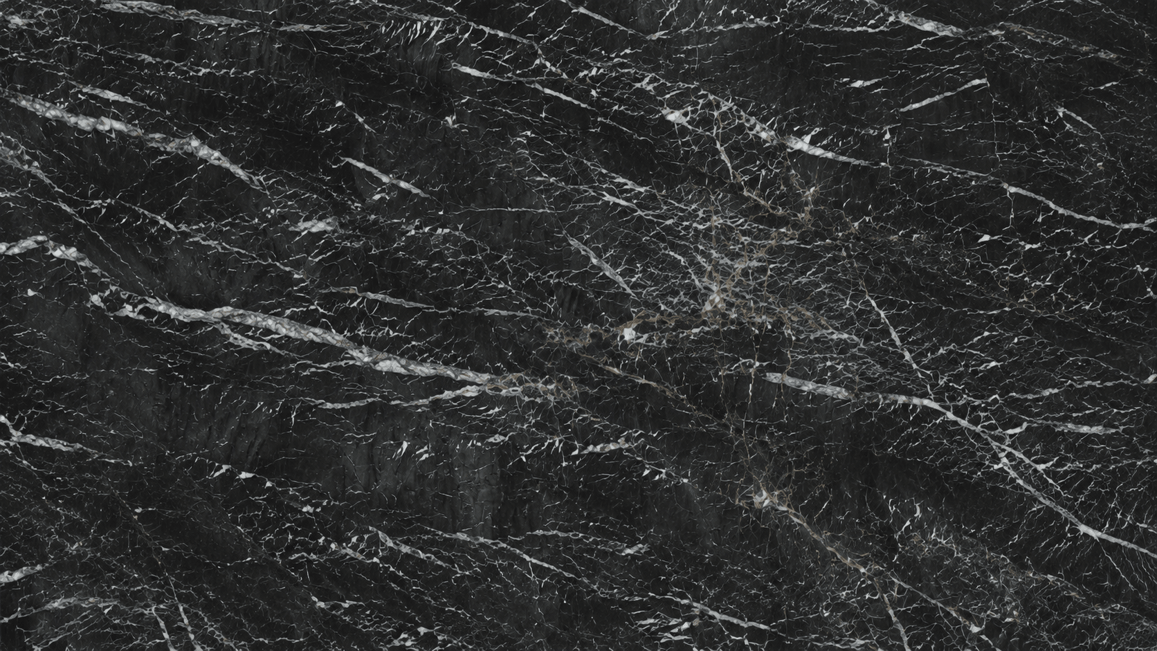 Roman Grey Color  Marble Slabs