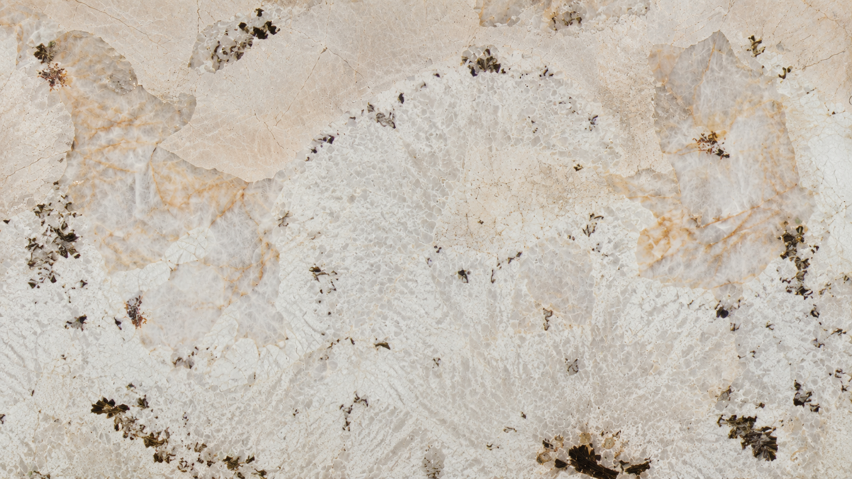 Peacock Opening White Quartzite Luxury Slabs